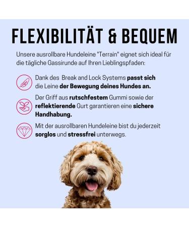 Buy High-Quality 5m Cong Roll-Out Dog Leash for Medium Dogs up to 30kg | Soft Grip & Reflective Belt | Durable Gray Design | Break & Lock System - Buy Online on SooperMarket.com