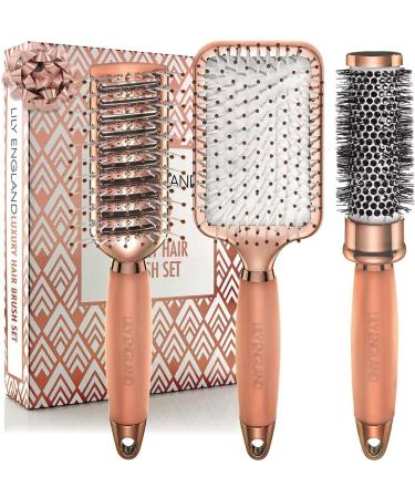 Hair Brush Set - Luxury Professional Rose Gold Hairbrushes for Detangling Blow Drying Straightening - Suitable for All Hair Types by Lily England