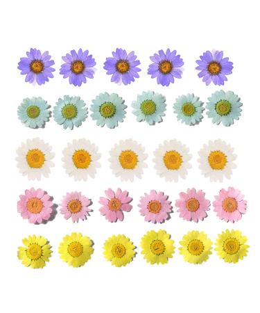 50pcs Natural Dried Daisy Flower Vacuum Packaging Pressed Flower for House Decoration Jewelry Making Phone case Decoration (5 Colors)