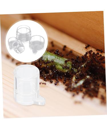 COLLBATH 2pcs Ant Water Feeder Ant Nest Water Feeding Area Ant Water Feeding Bowl Mini Animals Ants Acrylic - Buy Online on SooperMarket.com