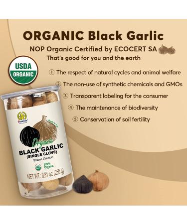SUNGIVEN Organic Black Garlic Single Clove - 100% USDA Organic, High Antioxidants, Ready to Eat - 8.81 oz (250 g) - Buy Online on SooperMarket.com
