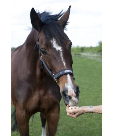 Buy Fresh Horseradish - 2nd Class for Horses (500g) | International Shipping Available - Buy Online on SooperMarket.com