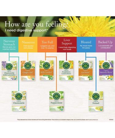 Organic Gas Relief Tea | Traditional Medicinals | Caffeine-Free | 16 Wrapped Bags - Buy Online on SooperMarket.com