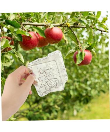 SUPVOX 10 Pcs Square Apple Molds Square Growth Molds Fruit Mold Shape Mold for Vegetable Stereotypes Melon - Buy Online on SooperMarket.com