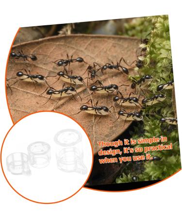 BELLIFFY 2pcs Ant Water Feeder Transparent Ant Water Feeding Bowl Ant Drinking Tool Mini Ant Feeder Acrylic - Buy Online on SooperMarket.com
