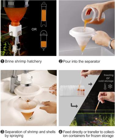 Clscea Aquarium Brine Shrimp Sieve Eggshell Separator Kit - 80 Mesh & 200 Mesh | Artemia Collecting Net for Brine Shrimp Hatchery - Buy Online on SooperMarket.com