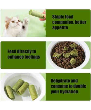 Berdexa Cat Grass Teething Sticks Verdexa Cat Grass Teething Sticks for Indoor Cats Cat Grass Chew Stick Cat Chew Stick Natural Molar Rod Increase Appetite (1Bucket) - Buy Online on SooperMarket.com