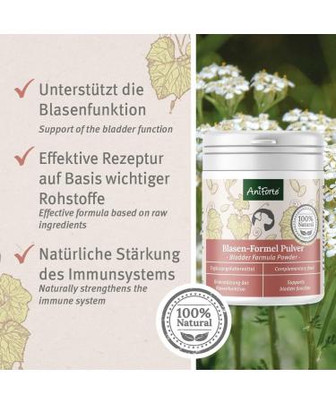 Aniforte Bladder Formula for Dogs - 100g | Supports Bladder Function & Reduces Urine Loss - Buy Online on SooperMarket.com
