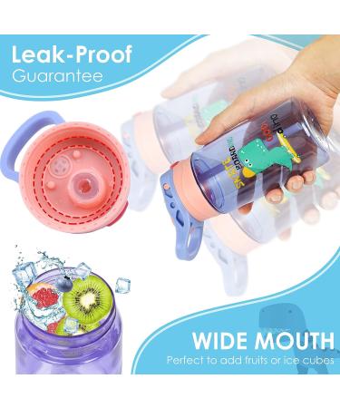 ROISDIYI Kids Water Bottle with Leak-Proof Straw, 16 oz BPA-Free Spout Lid for School - Purple 1 Pack - Buy Online on SooperMarket.com