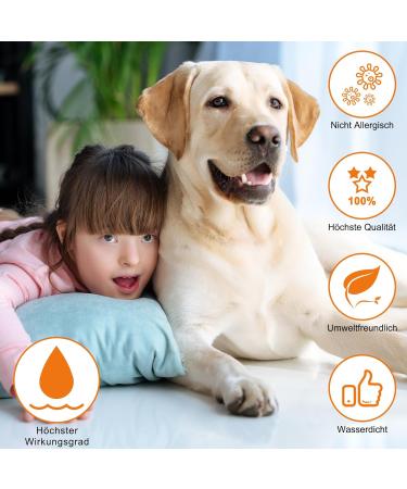 DEWEL Tick Collar for Dogs - Adjustable 63.5cm Waterproof Flea & Tick Protection - Buy Online on SooperMarket.com