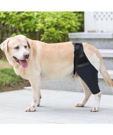 Hip Brace for Dogs - Flexible Hip Brace for Dogs Dog Hip Joint Brace for Torn ACL Patella Luxation Osteoarthritis Limping from Joint Hip Dysplasia Kot-au Black Medium - Buy Online on SooperMarket.com
