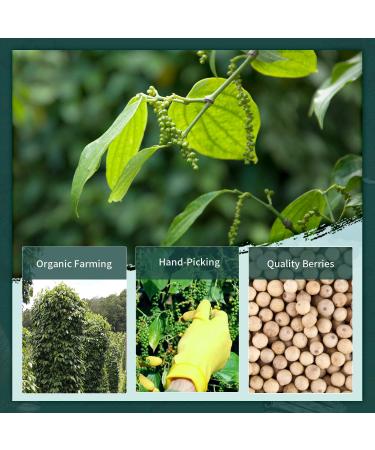 Soeos Fine Ground White Pepper 18oz - Non-GMO, Kosher Verified, Freshly Packed | Fine Grain White Pepper Powder - 1.13lb - Buy Online on SooperMarket.com