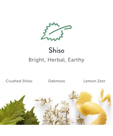 Harry's Aluminum Free Deodorant for Men - Odor Control Shiso Scent 2.5 Oz 3-Pack | Men Deodorant Aluminum Free Aluminum Free - Discontinued Shiso - Buy Online on SooperMarket.com