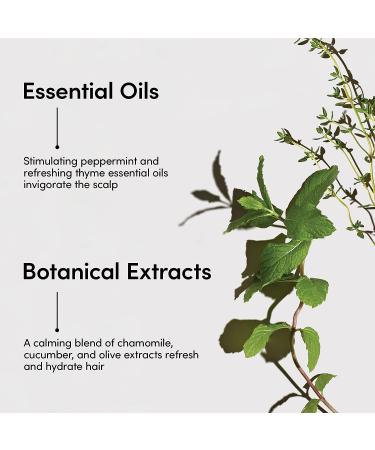 LATHER Mint Thyme Hair Wash - Natural Shampoo with Peppermint Oil, Green Tea, Mint & Thyme - 8 Oz Bottle | Self Care Essential Oils - Buy Online on SooperMarket.com