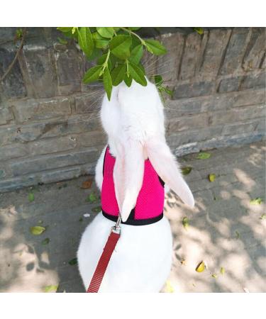 CHIPKART Small Pet Harness No Pulling Comfort Vest Guinea Pig Harness and Leash Set for Ferret Rats Bunny Hamster(L) - Buy Online on SooperMarket.com