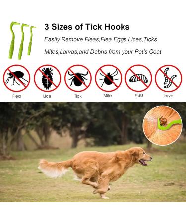 Izyufan Tick Remover Tool 3 Pcs - Painlessly Removes Ticks for Dogs, Cats, and Humans - Green - Buy Online on SooperMarket.com