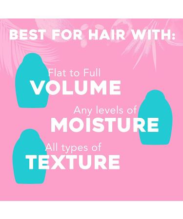 OGX Argan Oil of Morocco Hydrating Conditioner - Moisturizing & Strengthening Formula, 13 Fl Oz - Buy Online on SooperMarket.com
