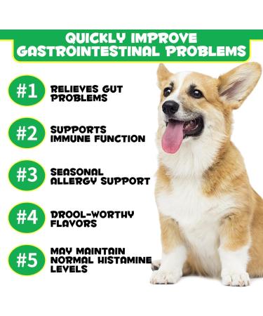 Digestive Probiotic Soft Chews for Dogs Canine Dietary Supplements and Immunity Support Chewable Vitamin Treats for Dogs- Duck Flavour 120 Tablets - Buy Online on SooperMarket.com