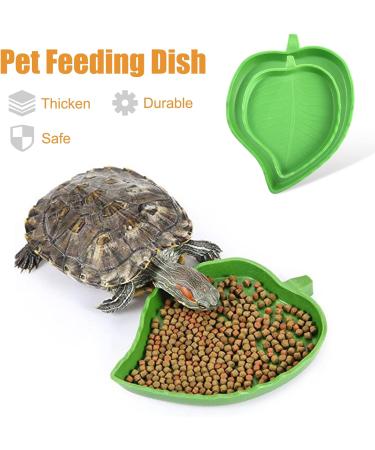 2Pcs Tortoise Water Bowls Reptile Feeding Dish Leaf Shape Reptile Food Water Bowl Feeding and Water Dish Reptile Accessories Tortoise Water Dish Tortoise Cage Accessories - Buy Online on SooperMarket.com