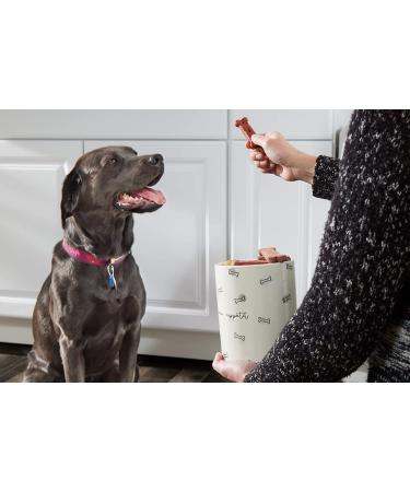 Pearhead Pet Feeding Set: Dog and Cat Bowl, Treat Jar, Holiday Home Decor, Mat & Accessories - Buy Online on SooperMarket.com