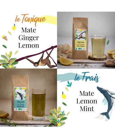 Origeens Organic Yerba Mate Set x4 - 4x80g | Premium Mate Tea Gift Set - Buy Online on SooperMarket.com