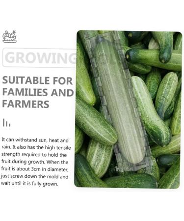 2pcs Vegetable Shaping Mold Cucumbers Vegetables Garden Fruit Mold Fruit Shaping Mold Modeling Melon - Buy Online on SooperMarket.com