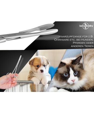 Professional Stainless Steel Ear Sink Dog Ear Hair Remover Pliers - 16 cm Animal Hair Tongs - Buy Online on SooperMarket.com