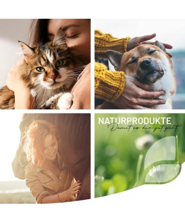 Reavet Mary Thistle Oil for Dogs & Horses 250ml | Natural Food Grade BARF Supplement Rich in Vitamin E & Omega-6 - Buy Online on SooperMarket.com