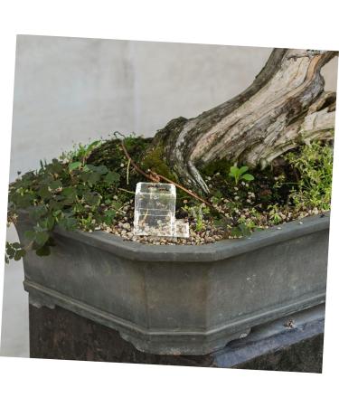 BCOATH Pet Water Feeder Ants Feeding Bowl Ant Feeding Bowl Water Bowl for Ants Mini Liquid Feeder Plastic - Buy Online on SooperMarket.com
