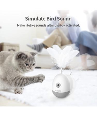 PETGEEK Laser Pointer Cat Toy - Interactive Kitten Toy with Bird Squeaky - Automatic Rotating Cat Laser Pointer - Indoor Cat Toys Gray - Buy Online on SooperMarket.com