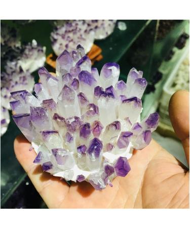 Natural Crystal Cluster Amethyst Specimen Ore Purple Reiki Stone Raw Crystal Home Decor Decoration Gift (Size : 500-600) - Buy Online on SooperMarket.com