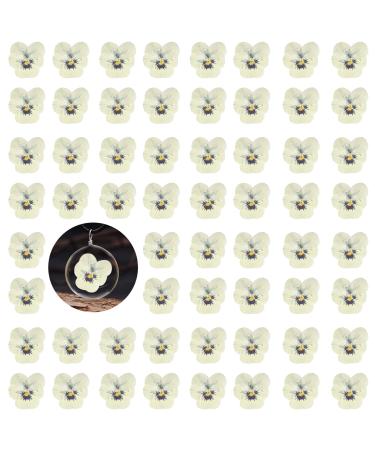 60PCS White Dried Pansy Flowers for Resin  Natural Real Dry Pressed Pansy Flower for Epoxy Resin Jewelry Candle Card Soap Making Scrapbooking DIY Art Crafts Painting Decoration Pansy-white
