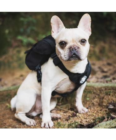 OneTigris Eureka Dog Backpack for Small Dogs - Lightweight Black XS with Poop Bag Dispenser | Ideal for Daily Hiking - International Shipping Available - Buy Online on SooperMarket.com