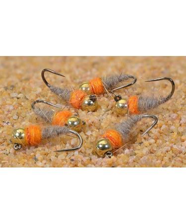 Tungsten Bead Head Hot Spot Hares Ear Jig Fly - Euro Nymph - Hanak Hooks - 6 & 8 Flies Packs 6ct Hook #14 - Buy Online on SooperMarket.com