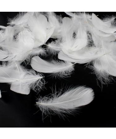 Coceca 500pcs White Feathers - Ideal for DIY Craft, Wedding & Party Decor - Buy Online on SooperMarket.com