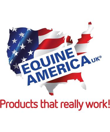 Equine America Xtra Boost Paste - 30ml - Buy Online on SooperMarket.com