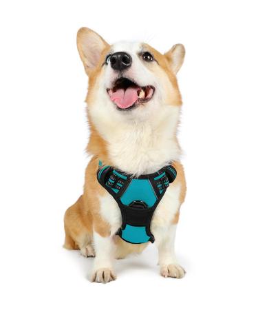 Rabbitgoo dog harness medium -sized dogs anti train crockery dog with control no pull adjustable dog harness large dogs breathable reflex stripes breast harness dog safe guidance blue green m (1 Pack) blue -green
