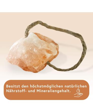 Set of 10 Himalayan Salt Lick Stones with Cord - 1 kg for Rabbits, Cats, Horses, Sheep - Premium Mineral Lick for Animals - Buy Online on SooperMarket.com
