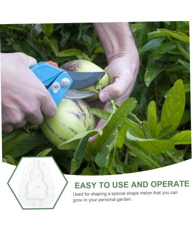 VINTORKY 3pcs Vegetable Mold Ginseng Creative Melon Fruit Accessory Forming Machine Gourd - Buy Online on SooperMarket.com