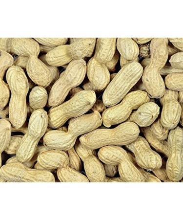 Peanuts in Shells 5kg Premium Safe Wild Bird Food Monkey Nuts Afflotoxin Free