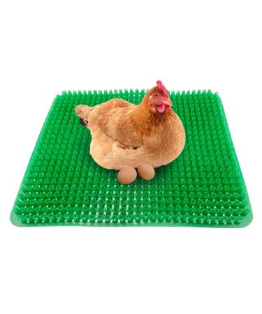 PINVNBY 8 PCS Chicken Nest Box Pads,Hen Nest Plastic Washable Reusable Poultry Egg Laying Nest Box Liners Durable Comfortable Ducks Supplies Chicken Coops Accessories Bedding GREEN