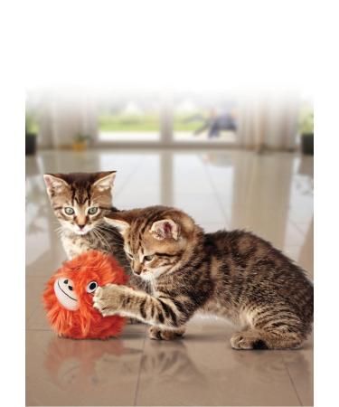 KONG Softies Patchwork Bear Cat Toy (Assorted Designs) - Buy Online on SooperMarket.com