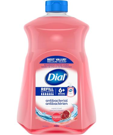 Dial Antibacterial Liquid Hand Soap Refill Pomegranate & Tangerine 1.53L Red - Buy Online on SooperMarket.com