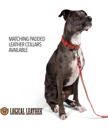 Logical Leather 6FT Braided Dog Leash - Heavy Duty Full Grain Leather Lead in Red - Buy Online on SooperMarket.com