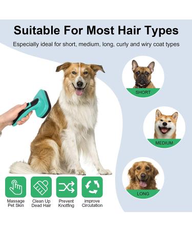Self Cleaning Slicker Brush for Pets - Remove Loose Hair, Fur, Mats, and Tangled Hair - Ideal for Dogs, Cats, and Rabbits - Aqua Green - Buy Online on SooperMarket.com