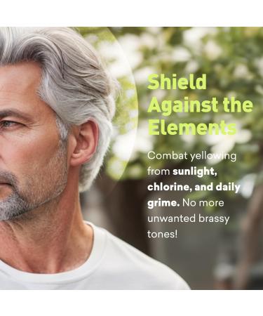 Just Nutritive Men's Gray Hair Shampoo | Sulfate-Free Brassy Tone Remover | Natural Gray Hair Treatment | 8 oz - Buy Online on SooperMarket.com