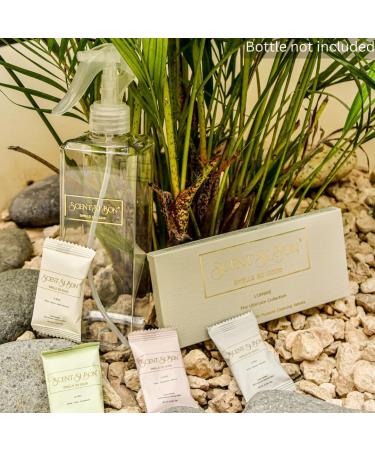 L Ombre Luxury Scented Cleaning Tablets - 4 Count | Makes 4 x 16oz Bottles | Inspired by Baccarat 540 Dior Sauvage Chanel N 5 Creed Aventus - Shop Internationally - Buy Online on SooperMarket.com