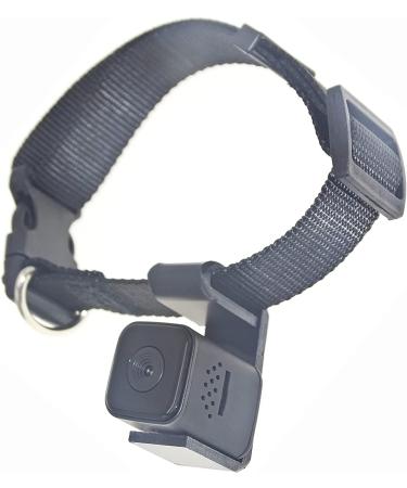 Pet Collar Cam DVR: Video Recorder & Monitor for Dogs, Cats, and Puppies - Buy Online on SooperMarket.com