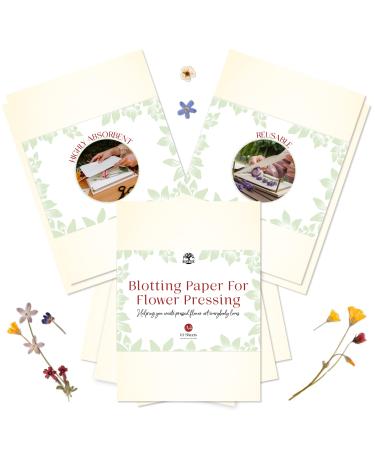 Blotting Paper for Flower Press by Berstuk Large A4 Flower Press Paper Highly Absorbent and Reusable Herbarium Paper Pack of 10 Blotter Paper Sheets 10 Count (Pack of 1) Cream