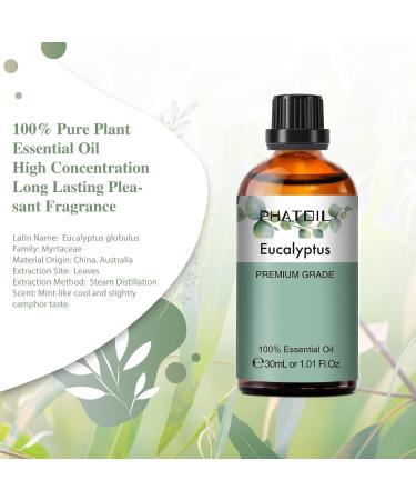 PHATOIL Eucalyptus Essential Oil 30ML - Premium Grade Pure Oil for Diffusers, Aromatherapy, and Candle Making - Buy Online on SooperMarket.com